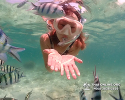 Underwater Odyssey snorkeling tour from Pattaya Thailand photo 18419