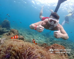 Underwater Odyssey snorkeling excursion Pattaya Thailand photo 11413