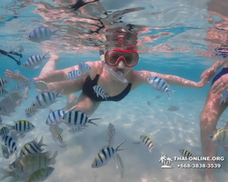 Underwater Odyssey snorkeling excursion in Pattaya Thailand photo 928