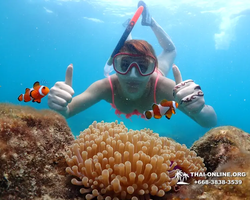 Underwater Odyssey snorkeling excursion in Pattaya Thailand photo 602