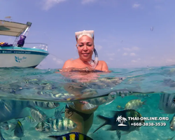 Underwater Odyssey snorkeling excursion Pattaya Thailand photo 11314
