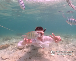Underwater Odyssey snorkeling tour from Pattaya Thailand photo 18608