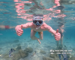 Underwater Odyssey snorkeling tour from Pattaya Thailand photo 14312