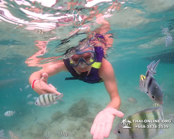 Underwater Odyssey snorkeling excursion in Pattaya Thailand photo 85