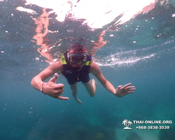 Underwater Odyssey snorkeling excursion in Pattaya Thailand photo 36