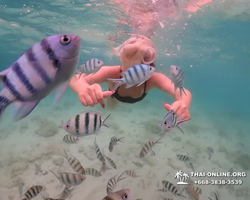 Underwater Odyssey snorkeling excursion in Pattaya Thailand photo 229