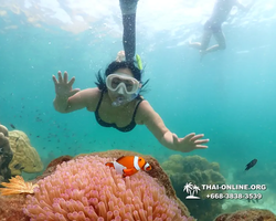 Underwater Odyssey snorkeling tour from Pattaya Thailand photo 18433