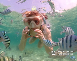 Underwater Odyssey snorkeling tour from Pattaya Thailand photo 18342