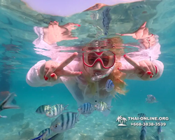 Underwater Odyssey snorkeling tour from Pattaya Thailand photo 14506