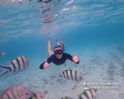 Underwater Odyssey snorkeling excursion Pattaya Thailand photo 11151
