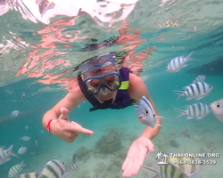 Underwater Odyssey snorkeling excursion in Pattaya Thailand photo 65