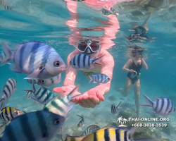 Underwater Odyssey snorkeling tour from Pattaya Thailand photo 14376