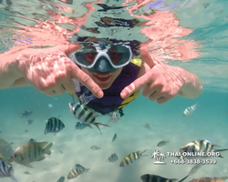 Underwater Odyssey snorkeling excursion Pattaya Thailand photo 19415