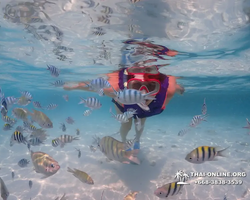 Underwater Odyssey snorkeling excursion in Pattaya Thailand photo 926