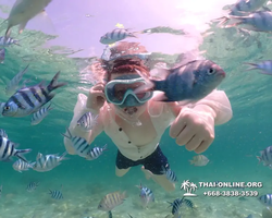 Underwater Odyssey snorkeling tour from Pattaya Thailand photo 18374