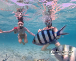 Underwater Odyssey snorkeling excursion Pattaya Thailand photo 11069