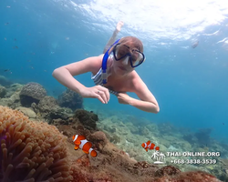 Underwater Odyssey snorkeling excursion Pattaya Thailand photo 11368