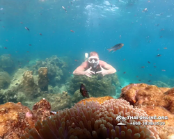 Underwater Odyssey snorkeling tour from Pattaya Thailand photo 14385