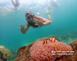 Underwater Odyssey snorkeling tour from Pattaya Thailand photo 18313