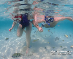 Underwater Odyssey snorkeling excursion in Pattaya Thailand photo 978