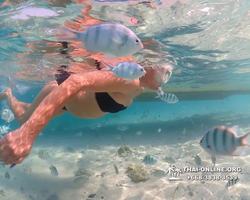 Underwater Odyssey snorkeling excursion Pattaya Thailand photo 11309