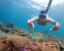 Underwater Odyssey snorkeling excursion Pattaya Thailand photo 11439