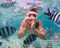 Underwater Odyssey snorkeling excursion Pattaya Thailand photo 11276
