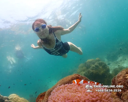 Underwater Odyssey snorkeling tour from Pattaya Thailand photo 18481