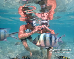 Underwater Odyssey snorkeling tour from Pattaya Thailand photo 14257