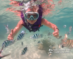 Underwater Odyssey snorkeling excursion Pattaya Thailand photo 19248