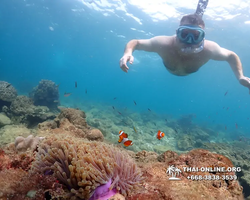 Underwater Odyssey snorkeling excursion Pattaya Thailand photo 11438