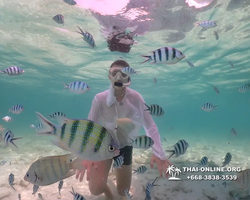 Underwater Odyssey snorkeling tour from Pattaya Thailand photo 18392