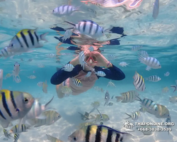 Underwater Odyssey snorkeling excursion in Pattaya Thailand photo 849