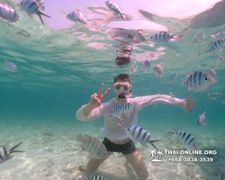 Underwater Odyssey snorkeling tour from Pattaya Thailand photo 18461