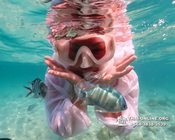 Underwater Odyssey snorkeling tour from Pattaya Thailand photo 14431
