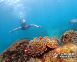 Underwater Odyssey snorkeling excursion in Pattaya Thailand photo 696