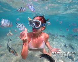 Underwater Odyssey snorkeling tour from Pattaya Thailand photo 14250