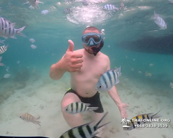 Underwater Odyssey snorkeling excursion in Pattaya Thailand photo 275