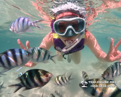 Underwater Odyssey snorkeling excursion Pattaya Thailand photo 19219