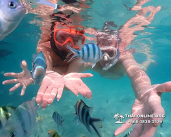 Underwater Odyssey snorkeling tour from Pattaya Thailand photo 14295