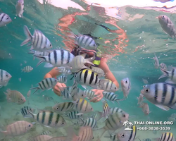 Underwater Odyssey snorkeling excursion in Pattaya Thailand photo 24