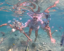 Underwater Odyssey snorkeling tour from Pattaya Thailand photo 14241