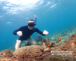 Underwater Odyssey snorkeling excursion Pattaya Thailand photo 11382