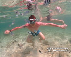 Underwater Odyssey snorkeling tour from Pattaya Thailand photo 18357