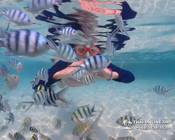 Underwater Odyssey snorkeling excursion in Pattaya Thailand photo 827