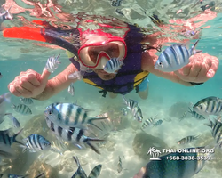 Underwater Odyssey snorkeling excursion Pattaya Thailand photo 19009