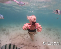 Underwater Odyssey snorkeling excursion in Pattaya Thailand photo 297