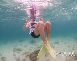 Underwater Odyssey snorkeling excursion in Pattaya Thailand photo 215