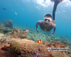 Underwater Odyssey snorkeling excursion Pattaya Thailand photo 11455