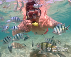 Underwater Odyssey snorkeling excursion Pattaya Thailand photo 14845